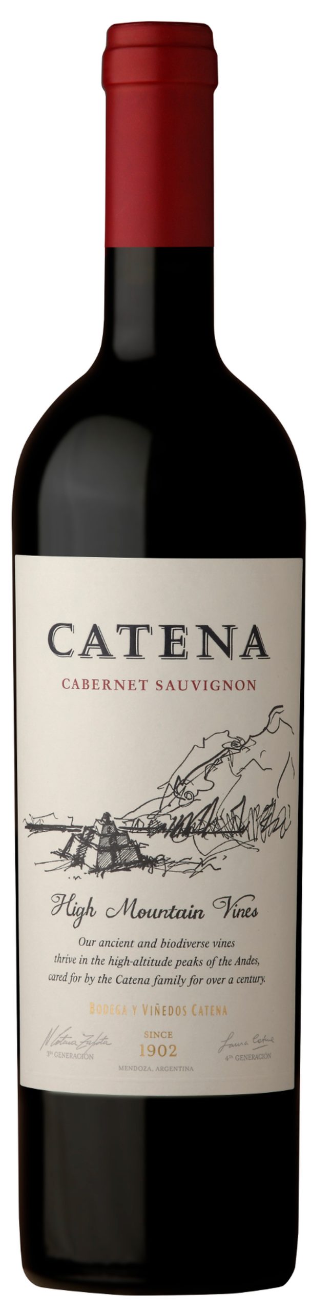 Catena Cabernet Sauvignon