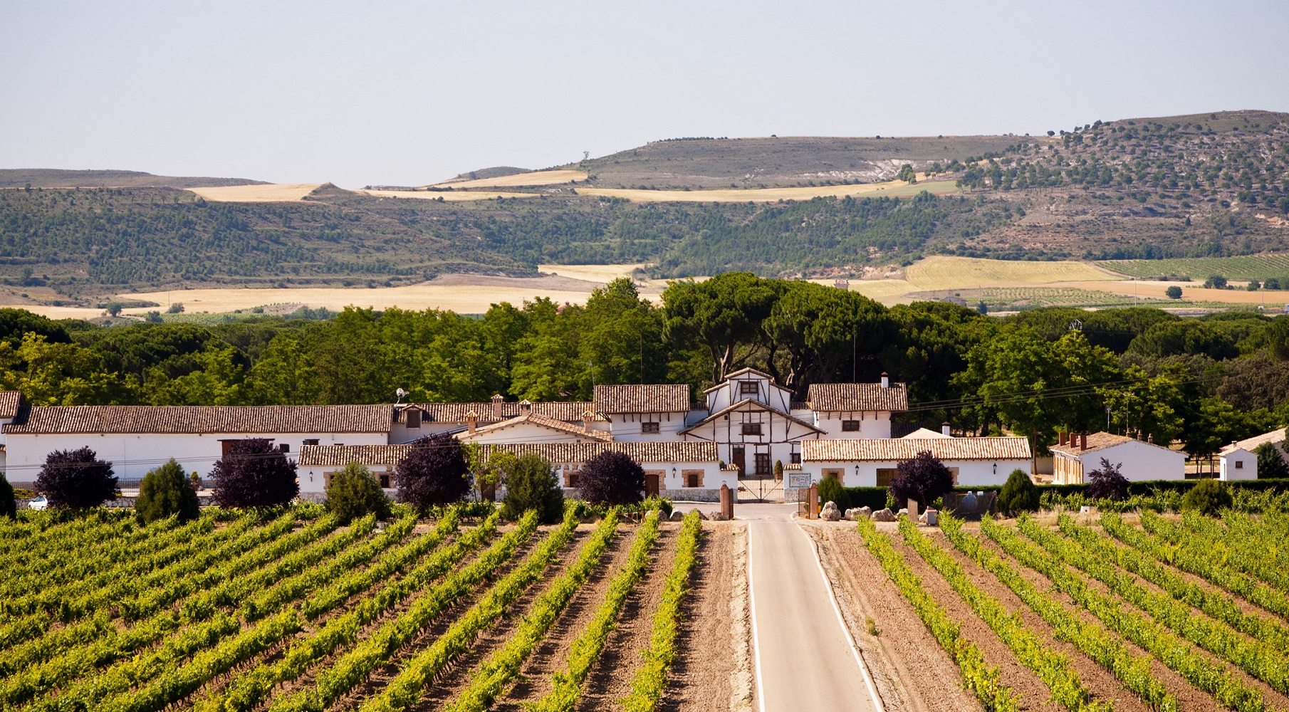 Dehesa de los Canonigos Beställ via Wine Affair till din butik