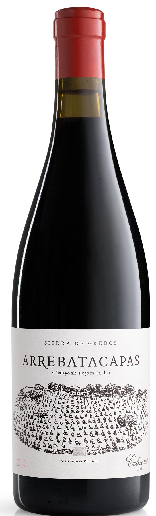 Arrebatacapas, Telmo Rodriguez, Wine Affair