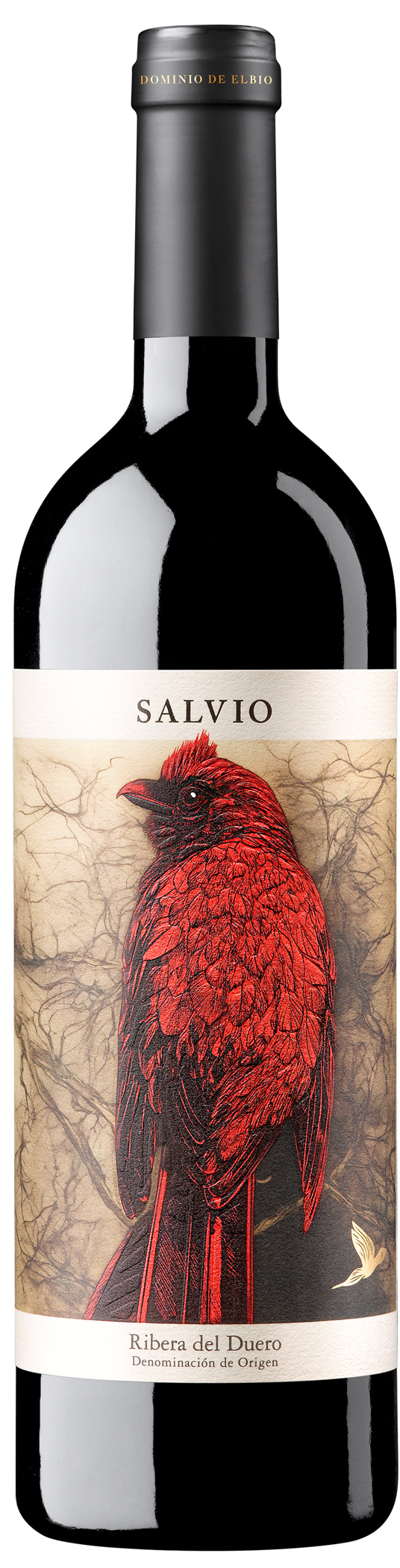 Dominio de Elbio Salvio